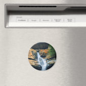 セダー秋ホッキングヒルズオハイオ マグネット (インサイチュ (食洗機))