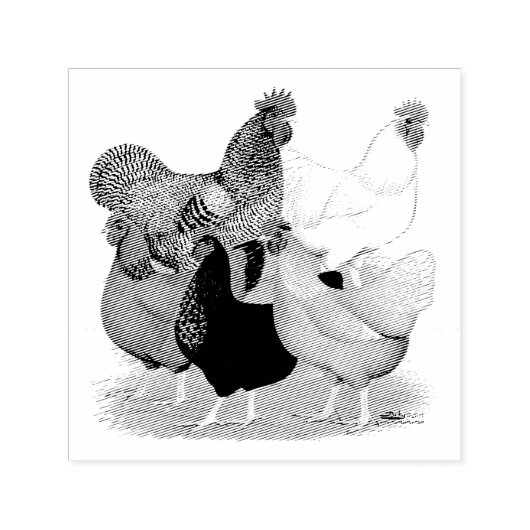 セックスで結ばれたニワトリ セルフインキングスタンプ (デザイン)