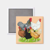 セックスで結ばれたニワトリ マグネット (正面/裏面)