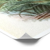 セッジウォレンヴィンテージバードイラストレーション ポスター (角)