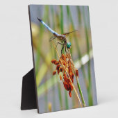 セッジグラスとトンボ フォトプラーク (側面)