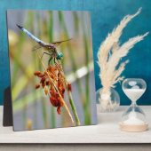 セッジグラスとトンボ フォトプラーク (側面)