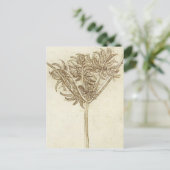 セッジ.jpg byレオナルド・ダ・ヴィンチ ポストカード (スタンド正面)