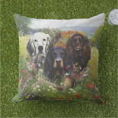 セッターズファミリ アウトドアクッション (芝生)