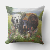 セッターズファミリ アウトドアクッション (正面)