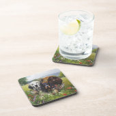 セッターズファミリ コースター (右側)