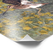 セッターズファミリ フォトプリント            (角)