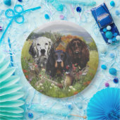 セッターズファミリ ペーパープレート (パーティー)