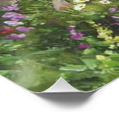 セッターズファミリ ポスター (コーナー)