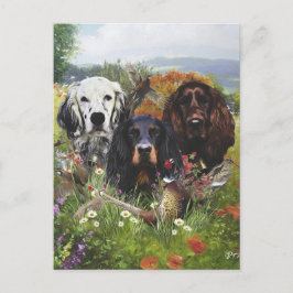 セッターズファミリ ポストカード