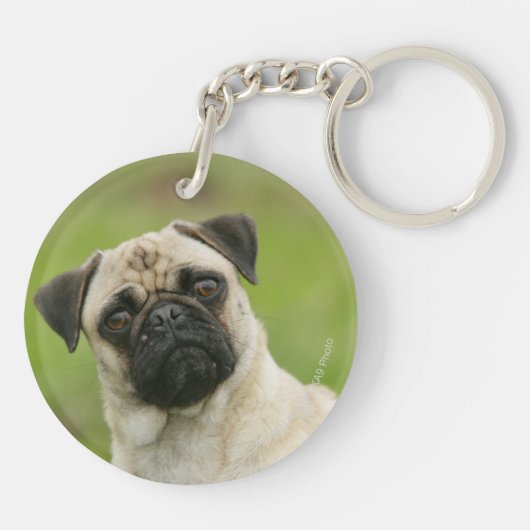 セットされるパグの頭部カメラを見ます キーホルダー (裏面)
