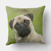 セットされるパグの頭部カメラを見ます クッション (裏面)