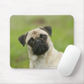 セットされるパグの頭部カメラを見ます マウスパッド (マウス)