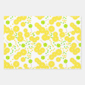 セット、紙フルーツ、フルーツ紙 ラッピングペーパーシート (正面2)