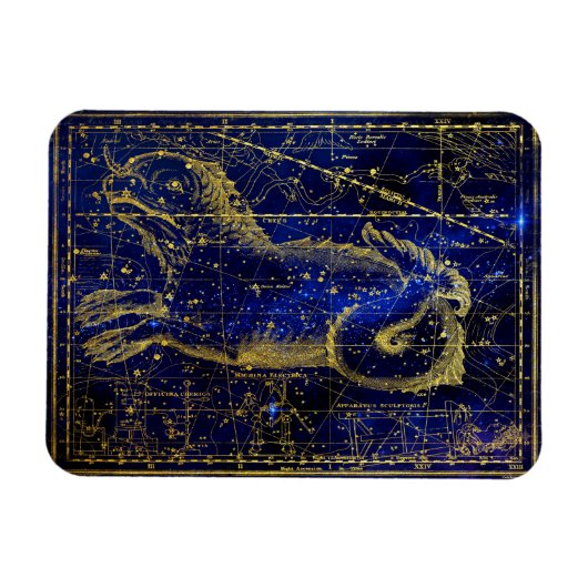 セトス座 マグネット (横)