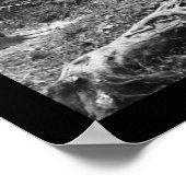 セトラーホームステッド1906年ニュージーランド ポスター (角)