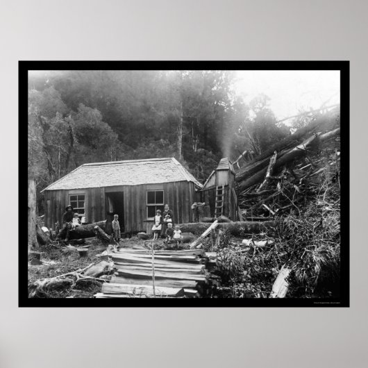 セトラーホームステッド1906年ニュージーランド ポスター (正面)