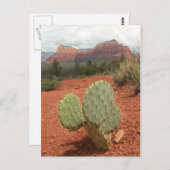 セドナのウチワサボテンサボテン、アリゾナ-郵便はがき ポストカード (正面/裏面)