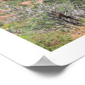 セドナのトレイルの終わりポスター ポスター (角)