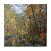 セドナアリゾナが別の日を流す タイル (正面)