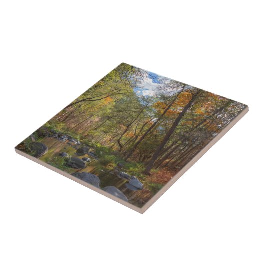 セドナアリゾナが別の日を流す タイル (側面)