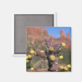 セドナサボテン砂漠磁石 マグネット (正面/裏面)