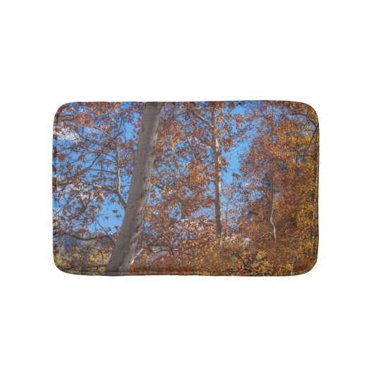 セドナシーズニングオーククリークキャニオン バスマット (正面)