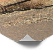 セドナポスター ポスター (角)