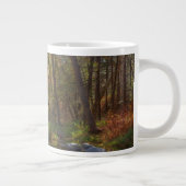 セドナ·アリゾナが次の日に流れる ジャンボコーヒーマグカップ (右)