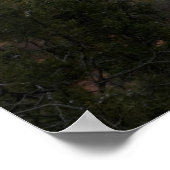 セドナ、アリゾナバレー3069 ポスター (角)