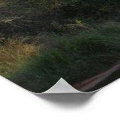 セドナ、アリゾナメモリーズ653 ポスター (角)