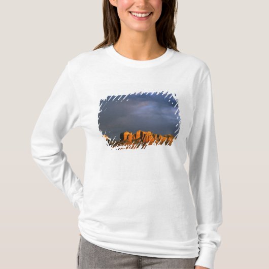 セドナ アリゾナ カセドラル ロックス Tシャツ (正面)