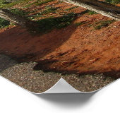 セドナ – ベルロック ポスター (角)