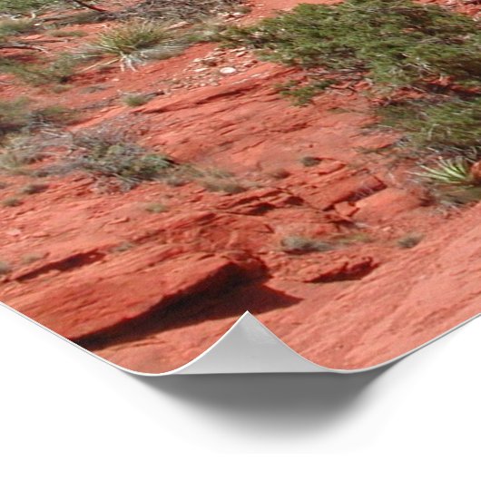 セドナ ポスター (角)