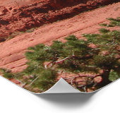 セドナ ポスター (角)