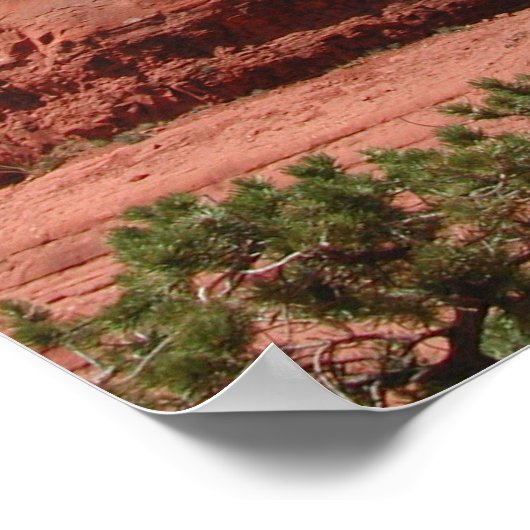 セドナ ポスター (角)