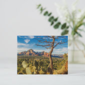 セドナ ポストカード (スタンド正面)