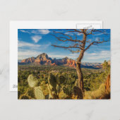 セドナ ポストカード (正面/裏面)