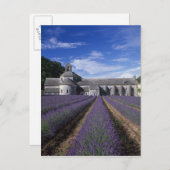 セナンク·アビー、ゴーデス、ヴクルーゼ、プロヴァンス。 ポストカード (正面/裏面)