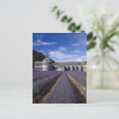 セナンク·アビー、ゴーデス、ヴクルーゼ、プロヴァンス。 ポストカード (スタンド正面)