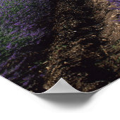 セナンケアビー、ゴルド、ヴォクリュース、プロヴァンス、 ポスター (角)