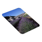 セナンケアビー、ゴルド、ヴォクリュース、プロヴァンス、 マグネット (右側)