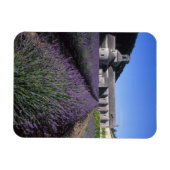 セナンケアビー、ゴルド、ヴォクリュース、プロヴァンス、 マグネット (横)