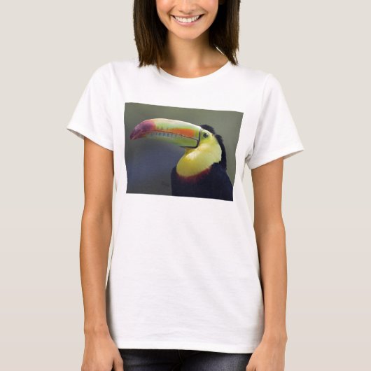 セニョール・トゥコTシャツ Tシャツ (正面)