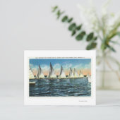 セネカヨットクラブ ポストカード (スタンド正面)