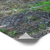 セネカロックHDR ポスター (角)