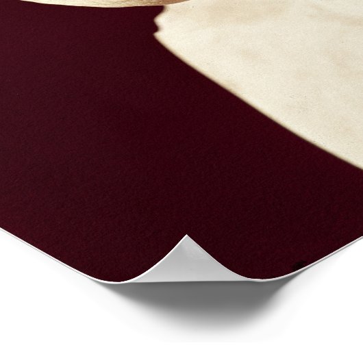 セネカ ポスター (角)