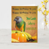 セネガルおもしろいオウム誕生日カード カード (黄色い花)