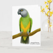 セネガルのオウムのグリーティングカード カード (黄色い花)
