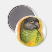 セネガルのオウム絵画リアル マグネット (正面/裏面)